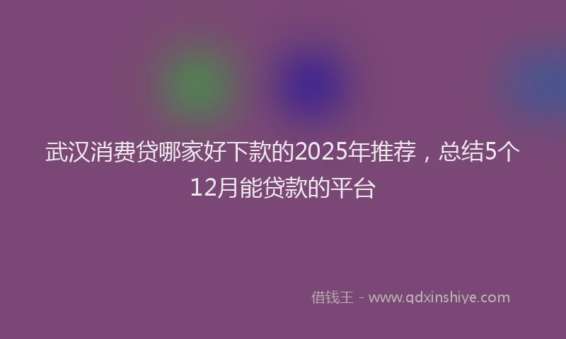 武汉消费贷哪家好下款的2025年推荐，总结5个12月能贷款的平台