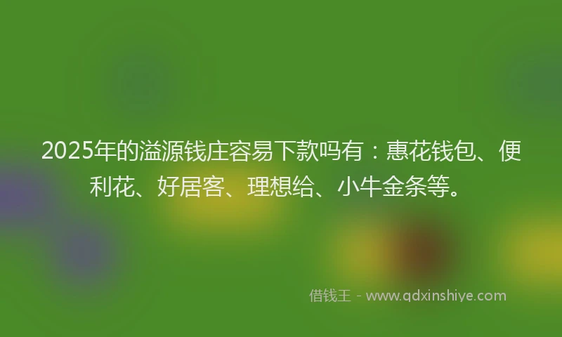 2025年的溢源钱庄容易下款吗有：惠花钱包、便利花、好居客、理想给、小牛金条等。