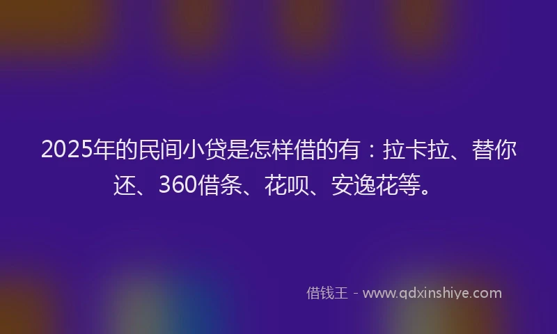 2025年的民间小贷是怎样借的有：拉卡拉、替你还、360借条、花呗、安逸花等。