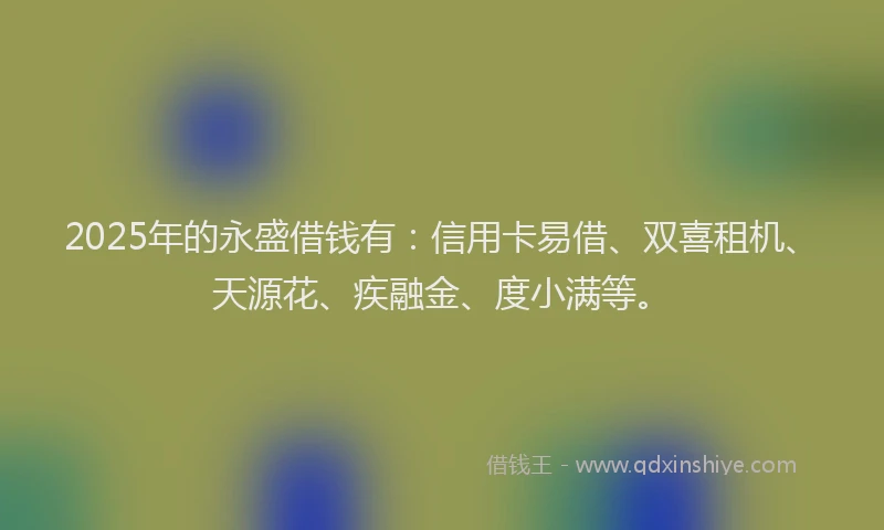 2025年的永盛借钱有：信用卡易借、双喜租机、天源花、疾融金、度小满等。