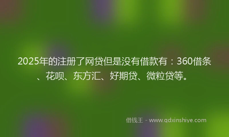2025年的注册了网贷但是没有借款有：360借条、花呗、东方汇、好期贷、微粒贷等。