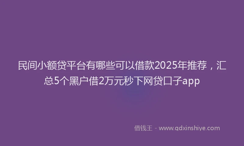 民间小额贷平台有哪些可以借款2025年推荐，汇总5个黑户借2万元秒下网贷口子app
