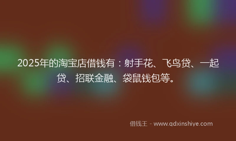 2025年的淘宝店借钱有:射手花、飞鸟贷、一起贷、招联金融、袋鼠钱包等。