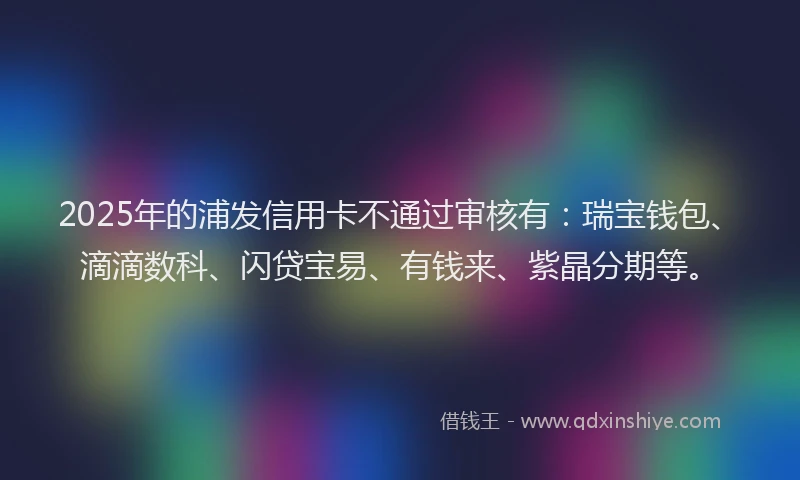 2025年的浦发信用卡不通过审核有：瑞宝钱包、滴滴数科、闪贷宝易、有钱来、紫晶分期等。