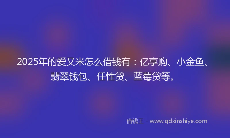 2025年的爱又米怎么借钱有：亿享购、小金鱼、翡翠钱包、任性贷、蓝莓贷等。
