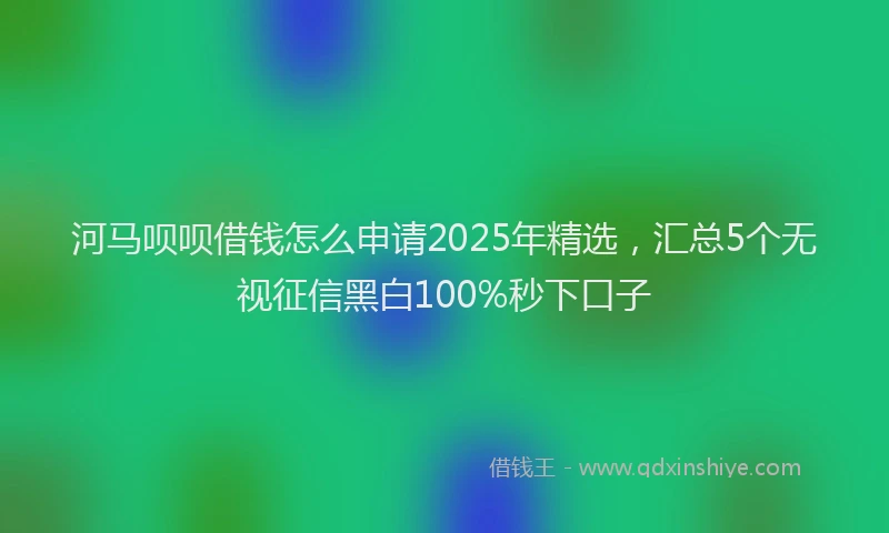 河马呗呗借钱怎么申请2025年精选，汇总5个无视征信黑白100%秒下口子