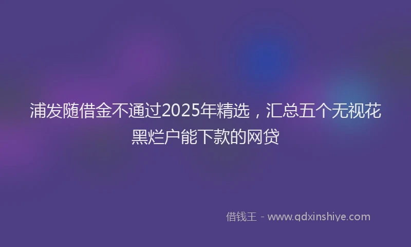 浦发随借金不通过2025年精选，汇总五个无视花黑烂户能下款的网贷