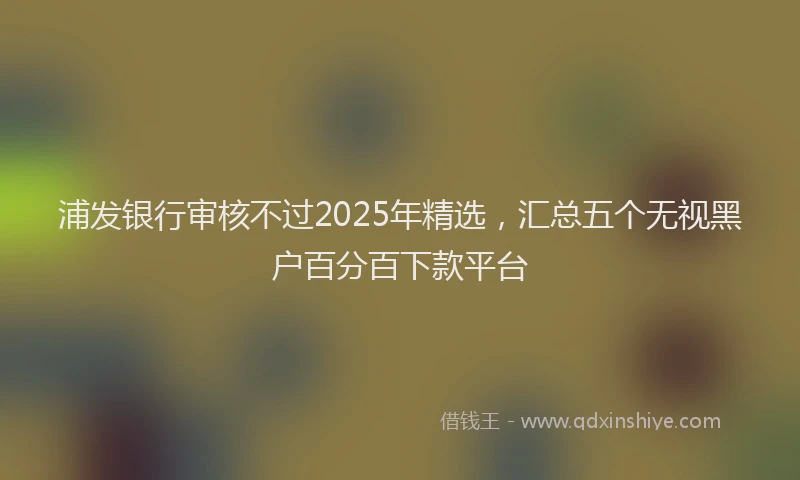 浦发银行审核不过2025年精选，汇总五个无视黑户百分百下款平台