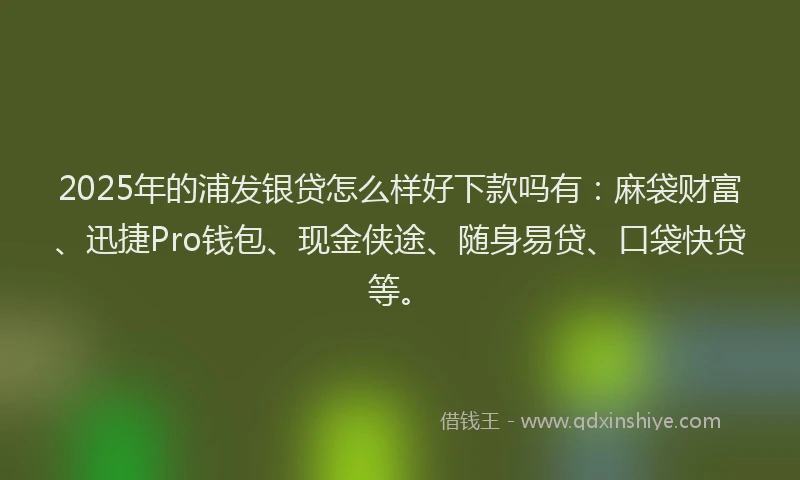 2025年的浦发银贷怎么样好下款吗有：麻袋财富、迅捷Pro钱包、现金侠途、随身易贷、口袋快贷等。