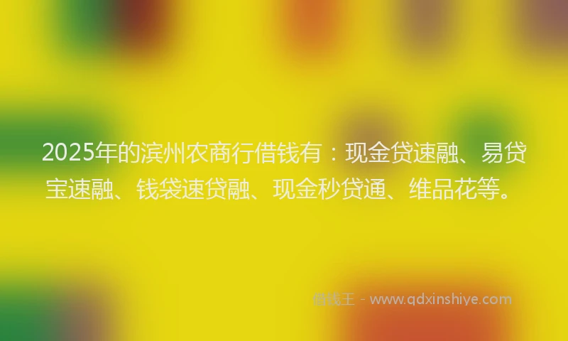2025年的滨州农商行借钱有：现金贷速融、易贷宝速融、钱袋速贷融、现金秒贷通、维品花等。