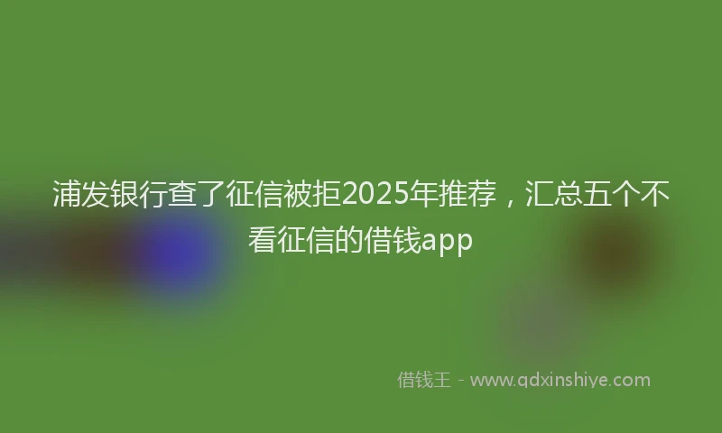 浦发银行查了征信被拒2025年推荐，汇总五个不看征信的借钱app