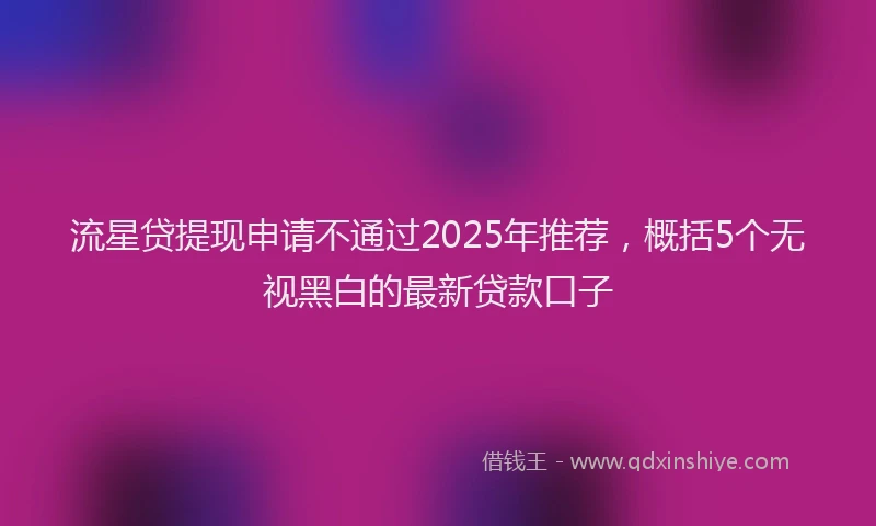 流星贷提现申请不通过2025年推荐，概括5个无视黑白的最新贷款口子