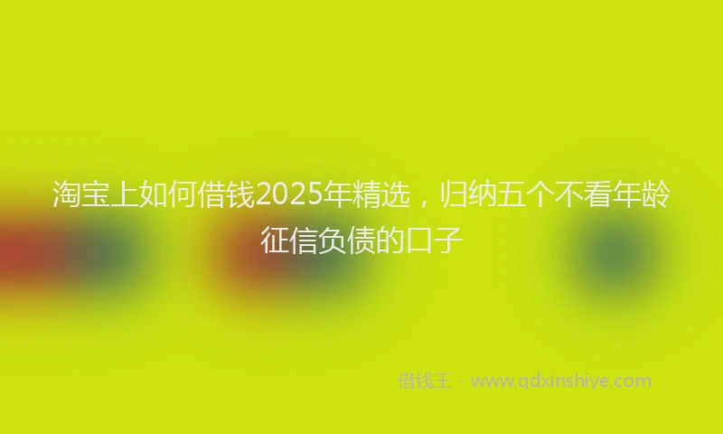 淘宝上如何借钱2025年精选，归纳五个不看年龄征信负债的口子