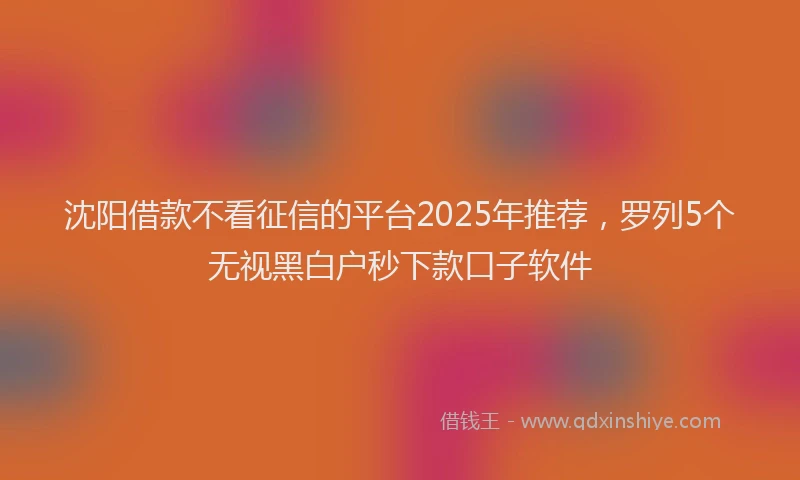 沈阳借款不看征信的平台2025年推荐，罗列5个无视黑白户秒下款口子软件