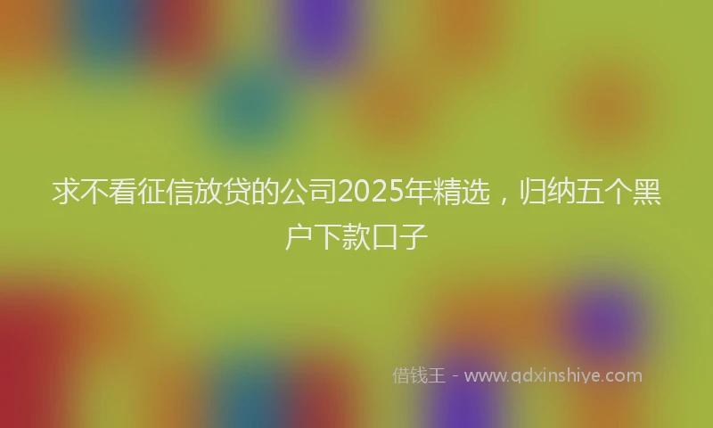 求不看征信放贷的公司2025年精选，归纳五个黑户下款口子