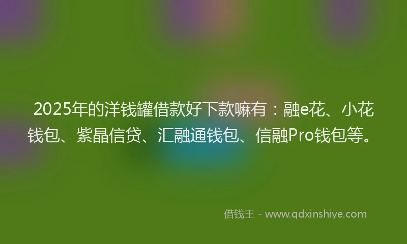 2025年的洋钱罐借款好下款嘛有：融e花、小花钱包、紫晶信贷、汇融通钱包、信融Pro钱包等。