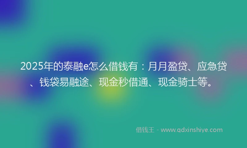 2025年的泰融e怎么借钱有：月月盈贷、应急贷、钱袋易融途、现金秒借通、现金骑士等。