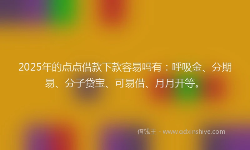 2025年的点点借款下款容易吗有：呼吸金、分期易、分子贷宝、可易借、月月开等。