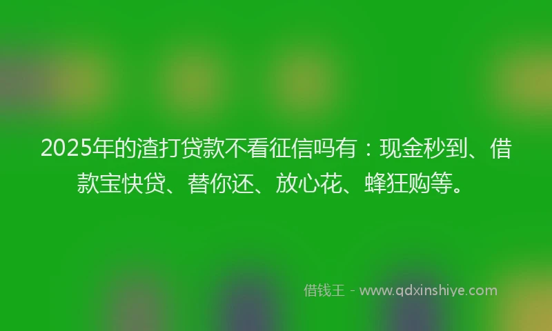 2025年的渣打贷款不看征信吗有：现金秒到、借款宝快贷、替你还、放心花、蜂狂购等。