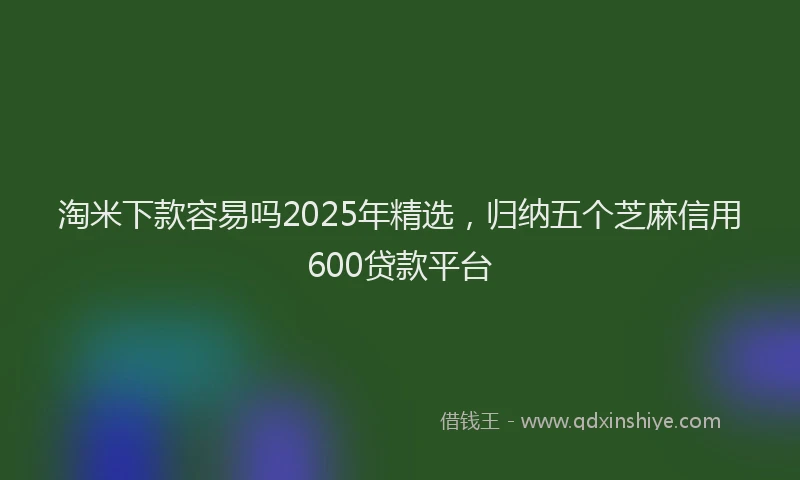 淘米下款容易吗2025年精选，归纳五个芝麻信用600贷款平台