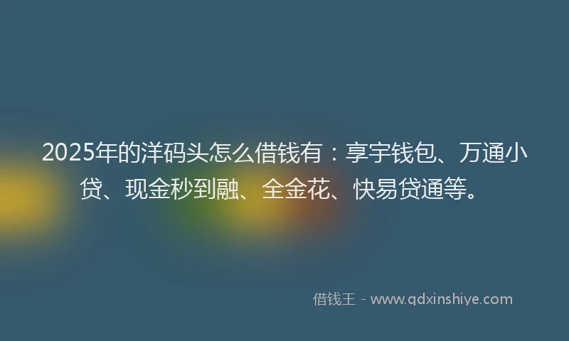 2025年的洋码头怎么借钱有：享宇钱包、万通小贷、现金秒到融、全金花、快易贷通等。