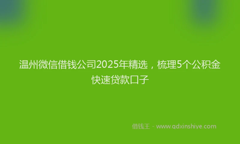 温州微信借钱公司2025年精选，梳理5个公积金快速贷款口子