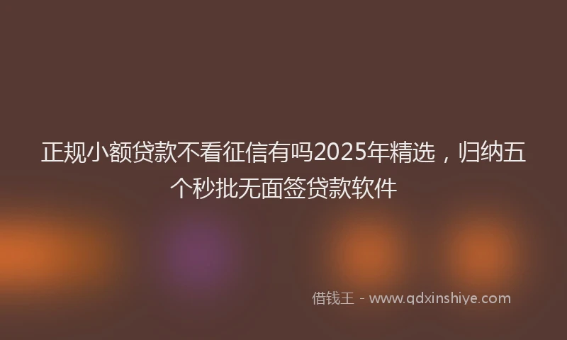 正规小额贷款不看征信有吗2025年精选，归纳五个秒批无面签贷款软件