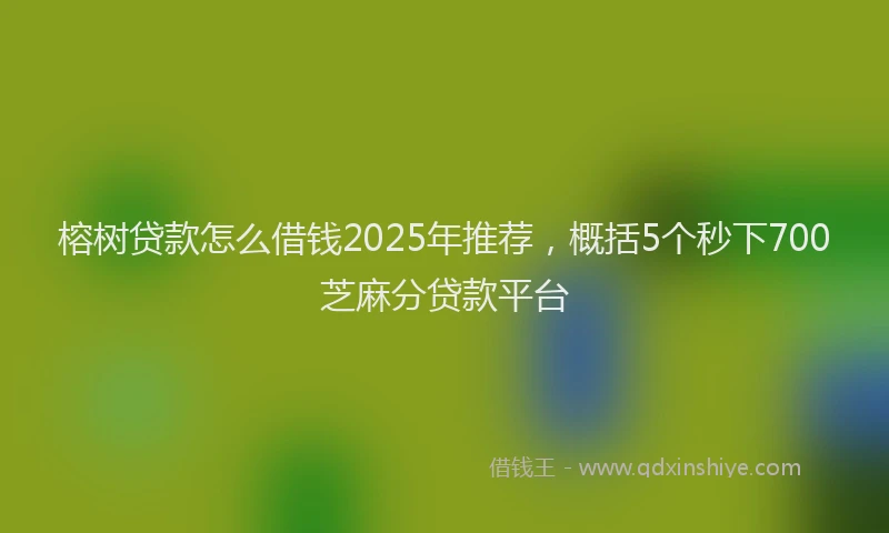 榕树贷款怎么借钱2025年推荐，概括5个秒下700芝麻分贷款平台