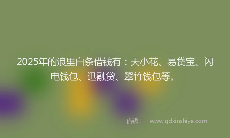 2025年的浪里白条借钱有：天小花、易贷宝、闪电钱包、迅融贷、翠竹钱包等。