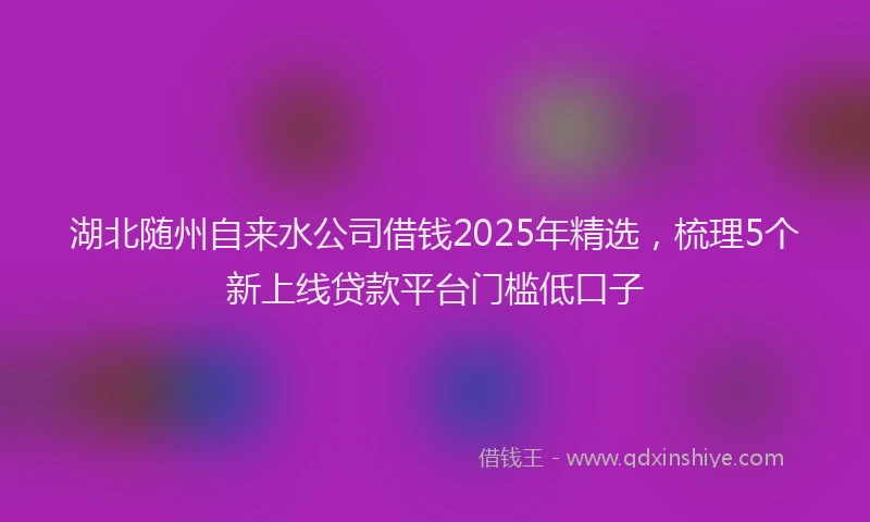 湖北随州自来水公司借钱2025年精选，梳理5个新上线贷款平台门槛低口子