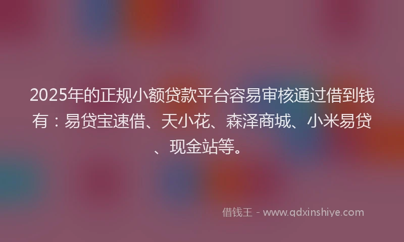 2025年的正规小额贷款平台容易审核通过借到钱有：易贷宝速借、天小花、森泽商城、小米易贷、现金站等。