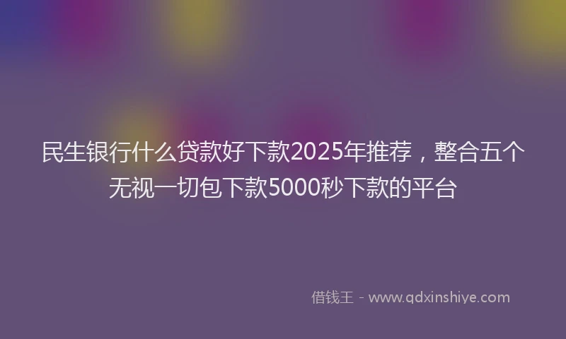 民生银行什么贷款好下款2025年推荐，整合五个无视一切包下款5000秒下款的平台