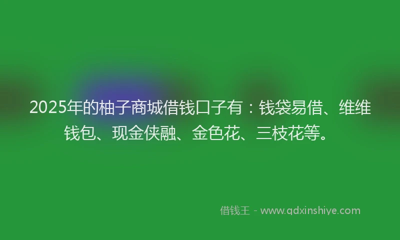 2025年的柚子商城借钱口子有：钱袋易借、维维钱包、现金侠融、金色花、三枝花等。