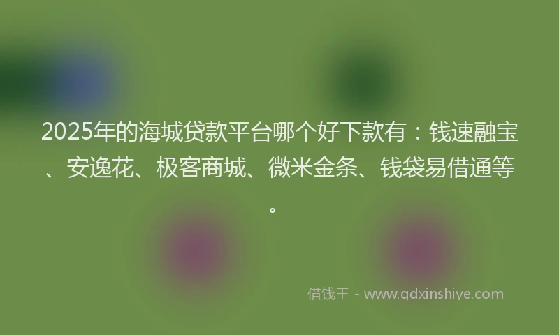 2025年的海城贷款平台哪个好下款有：钱速融宝、安逸花、极客商城、微米金条、钱袋易借通等。