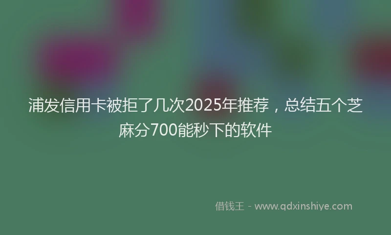 浦发信用卡被拒了几次2025年推荐，总结五个芝麻分700能秒下的软件