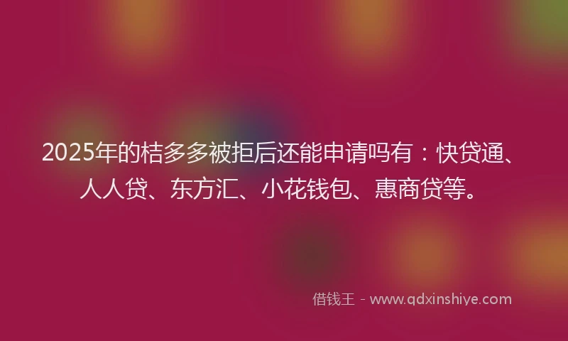 2025年的桔多多被拒后还能申请吗有：快贷通、人人贷、东方汇、小花钱包、惠商贷等。