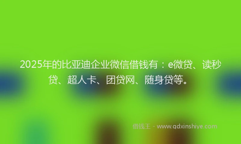 2025年的比亚迪企业微信借钱有：e微贷、读秒贷、超人卡、团贷网、随身贷等。