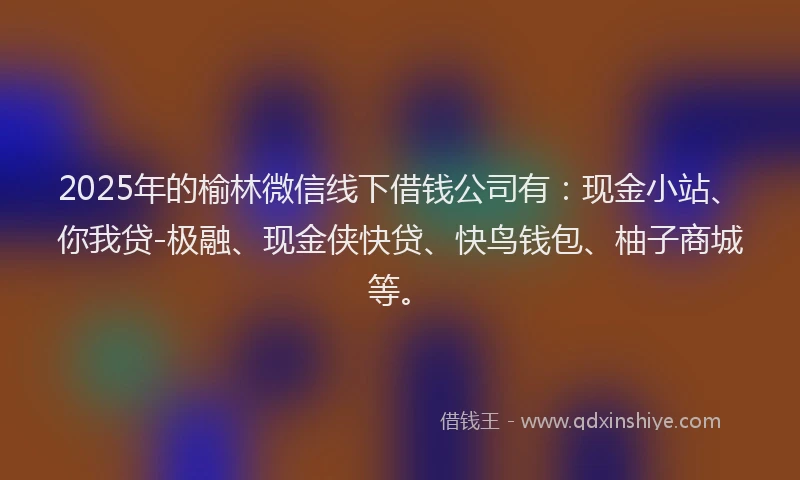 2025年的榆林微信线下借钱公司有：现金小站、你我贷-极融、现金侠快贷、快鸟钱包、柚子商城等。