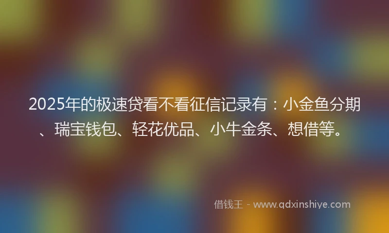 2025年的极速贷看不看征信记录有：小金鱼分期、瑞宝钱包、轻花优品、小牛金条、想借等。