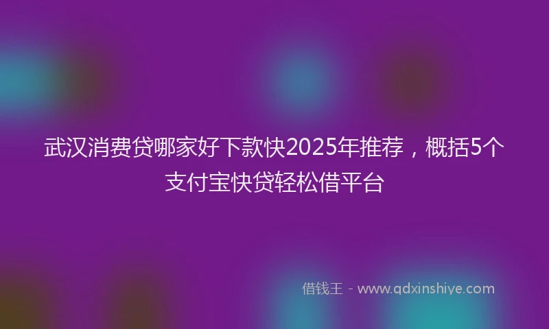 武汉消费贷哪家好下款快2025年推荐，概括5个支付宝快贷轻松借平台