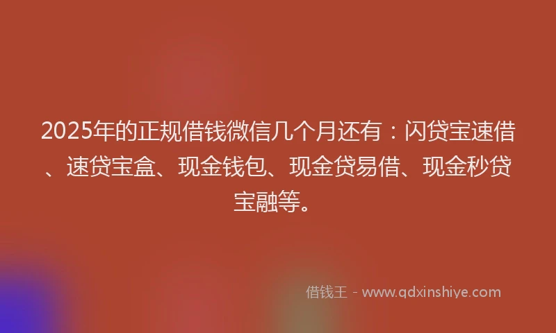 2025年的正规借钱微信几个月还有：闪贷宝速借、速贷宝盒、现金钱包、现金贷易借、现金秒贷宝融等。