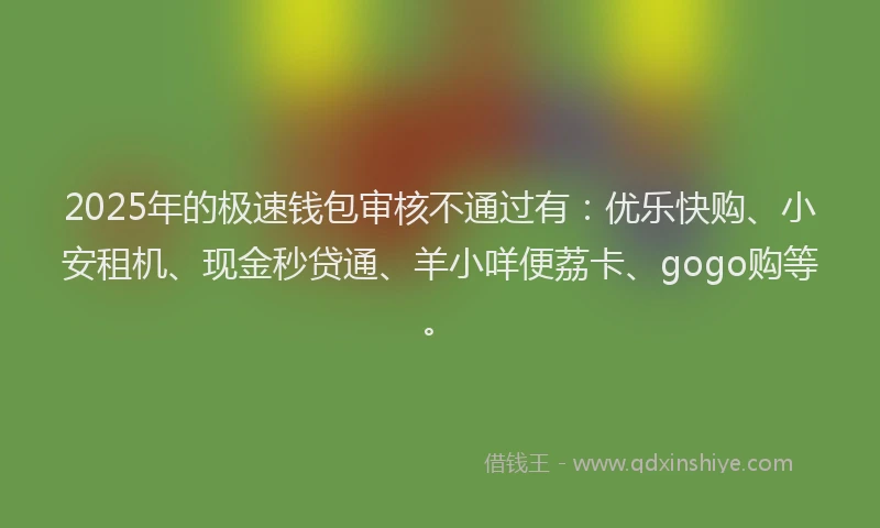 2025年的极速钱包审核不通过有：优乐快购、小安租机、现金秒贷通、羊小咩便荔卡、gogo购等。