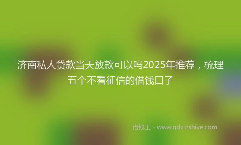济南私人贷款当天放款可以吗2025年推荐，梳理五个不看征信的借钱口子