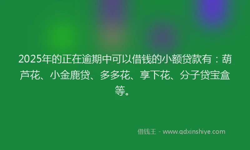 2025年的正在逾期中可以借钱的小额贷款有：葫芦花、小金鹿贷、多多花、享下花、分子贷宝盒等。