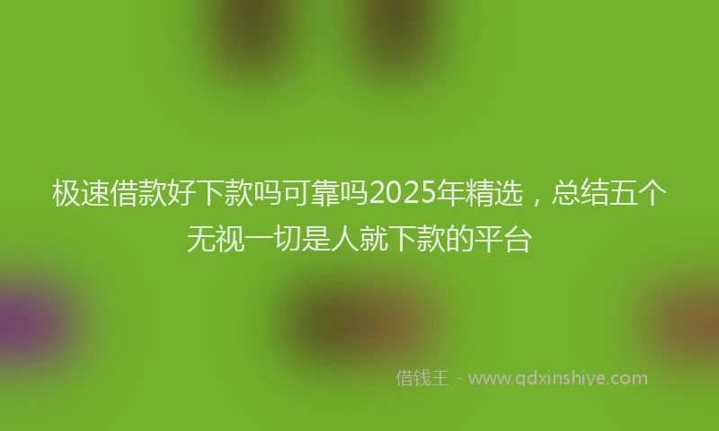 极速借款好下款吗可靠吗2025年精选，总结五个无视一切是人就下款的平台