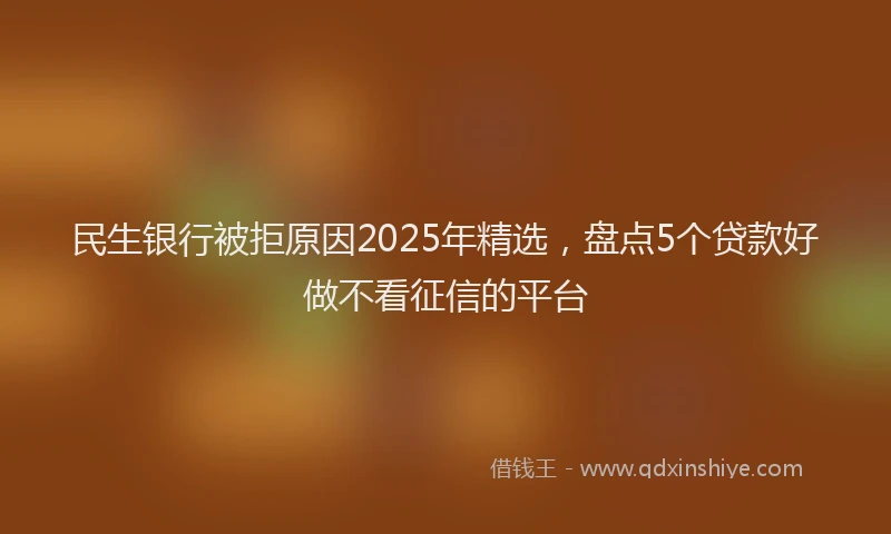 民生银行被拒原因2025年精选，盘点5个贷款好做不看征信的平台