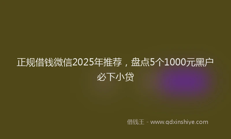 正规借钱微信2025年推荐，盘点5个1000元黑户必下小贷