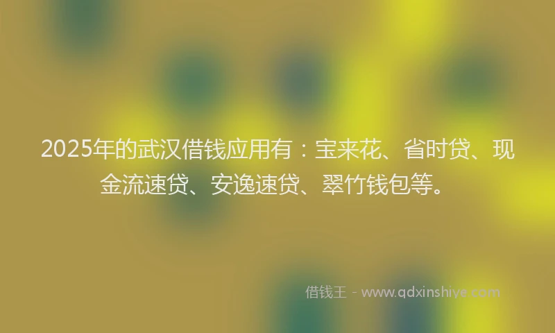 2025年的武汉借钱应用有：宝来花、省时贷、现金流速贷、安逸速贷、翠竹钱包等。