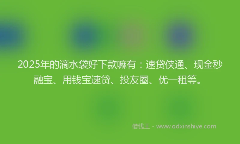 2025年的滴水袋好下款嘛有：速贷侠通、现金秒融宝、用钱宝速贷、投友圈、优一租等。