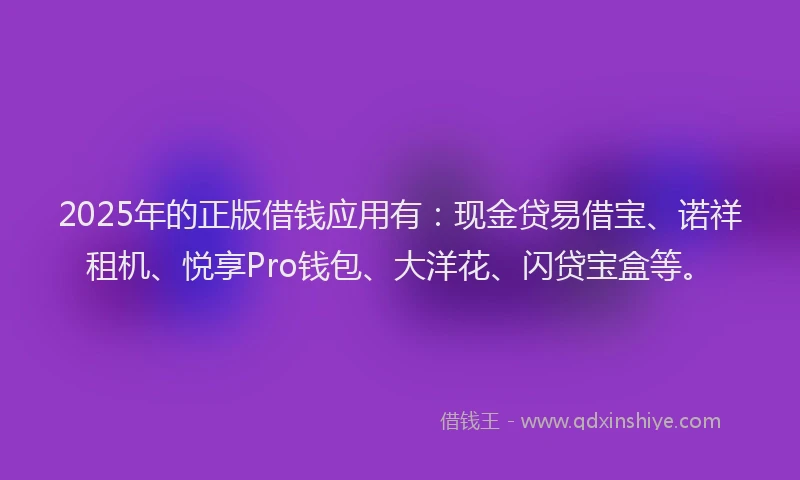 2025年的正版借钱应用有：现金贷易借宝、诺祥租机、悦享Pro钱包、大洋花、闪贷宝盒等。